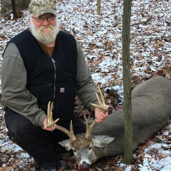 Meet your Posher, Toby - Picture 1 of 1